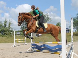img_3626_web